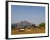 Malawi, Dedza, Grass-Roofed Houses in a Rural Village in the Dedza Region-John Warburton-lee-Framed Photographic Print