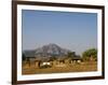 Malawi, Dedza, Grass-Roofed Houses in a Rural Village in the Dedza Region-John Warburton-lee-Framed Photographic Print