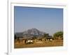 Malawi, Dedza, Grass-Roofed Houses in a Rural Village in the Dedza Region-John Warburton-lee-Framed Photographic Print