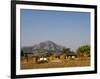 Malawi, Dedza, Grass-Roofed Houses in a Rural Village in the Dedza Region-John Warburton-lee-Framed Photographic Print