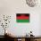 Malawi Flag Design with Wood Patterning - Flags of the World Series-Philippe Hugonnard-Art Print displayed on a wall