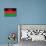 Malawi Flag Design with Wood Patterning - Flags of the World Series-Philippe Hugonnard-Mounted Art Print displayed on a wall