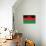 Malawi Flag Design with Wood Patterning - Flags of the World Series-Philippe Hugonnard-Mounted Art Print displayed on a wall