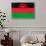 Malawi Flag Design with Wood Patterning - Flags of the World Series-Philippe Hugonnard-Stretched Canvas displayed on a wall