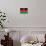 Malawi Flag Design with Wood Patterning - Flags of the World Series-Philippe Hugonnard-Stretched Canvas displayed on a wall