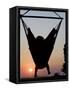 Malawi, Lake Malawi National Park, Young Guest Relaxes in a Hammock at Pumulani Lodge, (MR)-John Warburton-lee-Framed Stretched Canvas