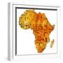 Malawi on Actual Map of Africa-michal812-Framed Premium Giclee Print