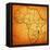 Malawi on Actual Map of Africa-michal812-Framed Stretched Canvas