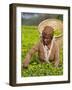 Malawi, Thyolo, Satemwa Tea Estate, a Female Tea Picker Out Plucking Tea-John Warburton-lee-Framed Photographic Print