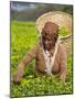 Malawi, Thyolo, Satemwa Tea Estate, a Female Tea Picker Out Plucking Tea-John Warburton-lee-Mounted Photographic Print