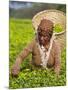 Malawi, Thyolo, Satemwa Tea Estate, a Female Tea Picker Out Plucking Tea-John Warburton-lee-Mounted Photographic Print