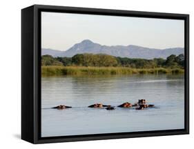 Malawi, Upper Shire Valley, Liwonde National Park-Mark Hannaford-Framed Stretched Canvas