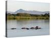 Malawi, Upper Shire Valley, Liwonde National Park-Mark Hannaford-Stretched Canvas