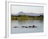 Malawi, Upper Shire Valley, Liwonde National Park-Mark Hannaford-Framed Photographic Print