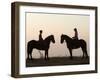 Malawi, Zomba Plateau, a Horse Riding Safari Is a Popular Way to Explore Zomba Plateau, (MR)-John Warburton-lee-Framed Premium Photographic Print