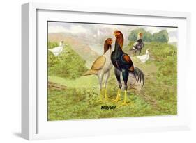 Malay Chickens-null-Framed Art Print