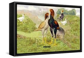 Malay Chickens-null-Framed Stretched Canvas