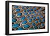 Malay Peacock Pheasant Both Tail and Wing Feathers Layered in Feather Design-Darrell Gulin-Framed Photographic Print