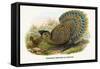 Malayan Peacock Pheasant-Birds Of Asia-John Gould-Framed Stretched Canvas