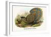 Malayan Peacock Pheasant-Birds Of Asia-John Gould-Framed Art Print