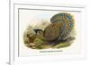 Malayan Peacock Pheasant-Birds Of Asia-John Gould-Framed Art Print