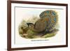Malayan Peacock Pheasant-Birds Of Asia-John Gould-Framed Art Print
