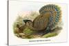 Malayan Peacock Pheasant-Birds Of Asia-John Gould-Stretched Canvas