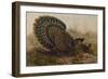 Malayan Peacock Pheasant (Polyplectron Bicalcaratum)-Henry Constantine Richter-Framed Giclee Print