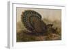 Malayan Peacock Pheasant (Polyplectron Bicalcaratum)-Henry Constantine Richter-Framed Giclee Print