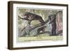 Malayan Sun Bear-null-Framed Art Print