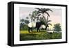 Malayan Tapir, 1860-null-Framed Stretched Canvas