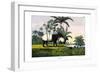 Malayan Tapir, 1860-null-Framed Giclee Print