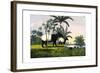 Malayan Tapir, 1860-null-Framed Giclee Print