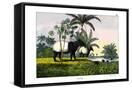 Canvas Black
