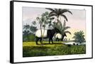 Canvas Black