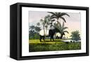 Canvas Black