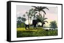Canvas Black