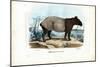 Malayan Tapir, 1863-79-Raimundo Petraroja-Mounted Giclee Print