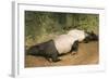 Malayan Tapir Lying Down with Baby-null-Framed Photographic Print