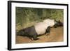 Malayan Tapir Lying Down with Baby-null-Framed Photographic Print