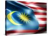 Malaysia Country Flag 3D Illustration-pling-Stretched Canvas