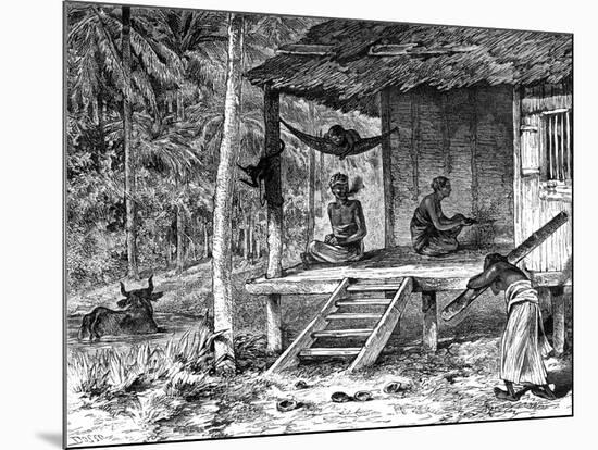 Malaysian Hut, 19th Century-Dosso-Mounted Giclee Print