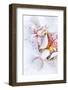 Malaysian Orchid Mantis (Hymenopus Coronatus) White Colour Morph Camouflaged On An Orchid-Alex Hyde-Framed Photographic Print