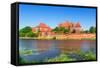 Malbork Castle in Summer Scenery, Poland-Patryk Kosmider-Framed Stretched Canvas