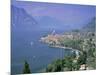 Malcesine, Lago Di Garda (Lake Garda), Italian Lakes, Trentino-Alto Adige, Italy, Europe-Gavin Hellier-Mounted Photographic Print