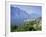 Malcesine, Lake Garda, Trentino-Alto Adige, Italian Lakes, Italy-Gavin Hellier-Framed Photographic Print