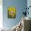 Malchite Butterfly on Petal of Yellow Asiatic Lily-Darrell Gulin-Mounted Photographic Print displayed on a wall