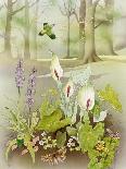 Woodland Scene with Green Woodpecker-Malcolm Greensmith-Art Print