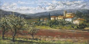 Hillside Olives-Malcolm Surridge-Art Print