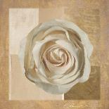 Warm Rose II-Malcom Sanders-Art Print